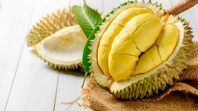 8 Manfaat Buah Durian untuk Kesehatan Tubuh, Yuk Simak!