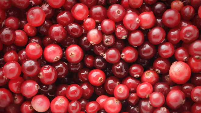 Kenali 7 Manfaat Jus Cranberry Baik Untuk Kesehatan!