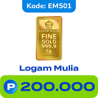 EMS01