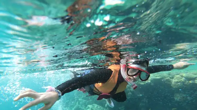 Mengenal Snorkeling dan Cara Melakukannya untuk Pemula