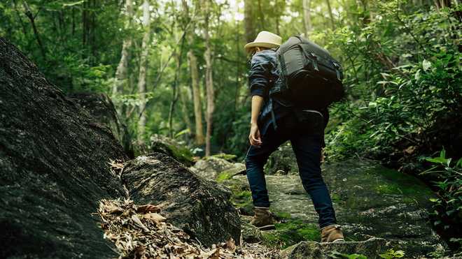 7 Tempat Hiking di Bandung untuk Pemula dan Pecinta Alam