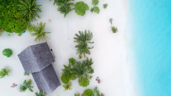 10 Tempat Wisata Wakatobi, Pemandangan Alam Mempesona!