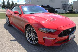 redmustang4