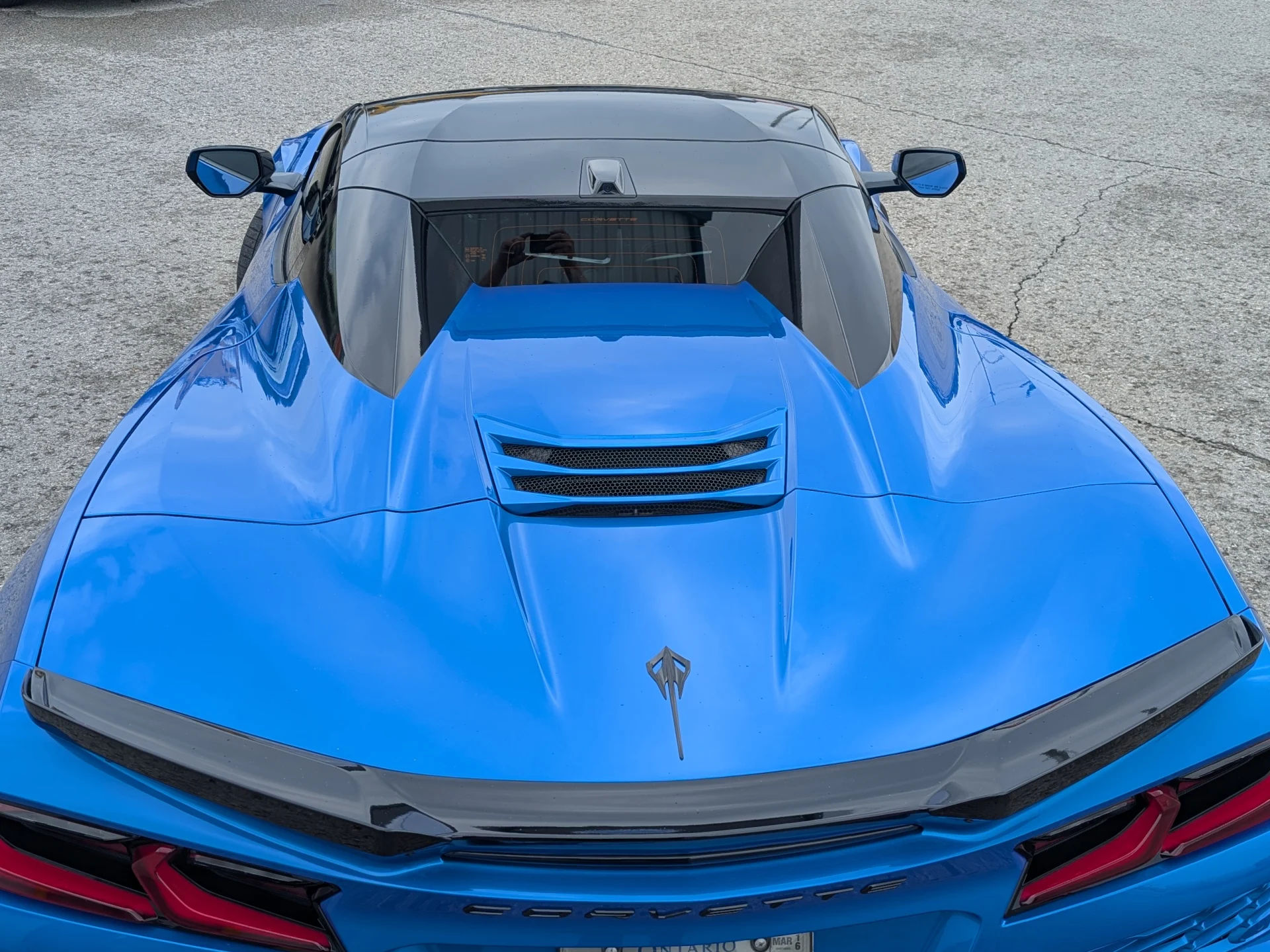 Vette rear