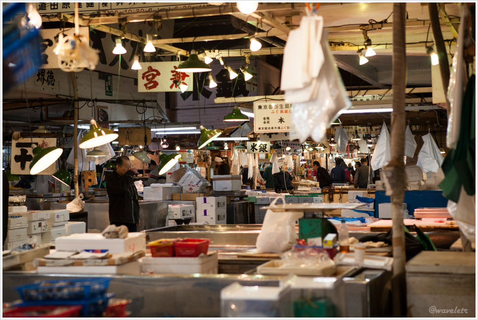 Tsukiji Fish Market (筑地市场)
