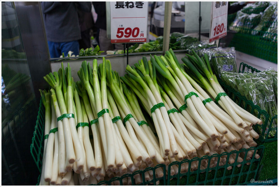 Green Onion, $6 a bunch