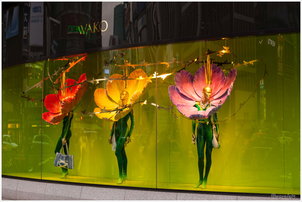 Ginza Window Display