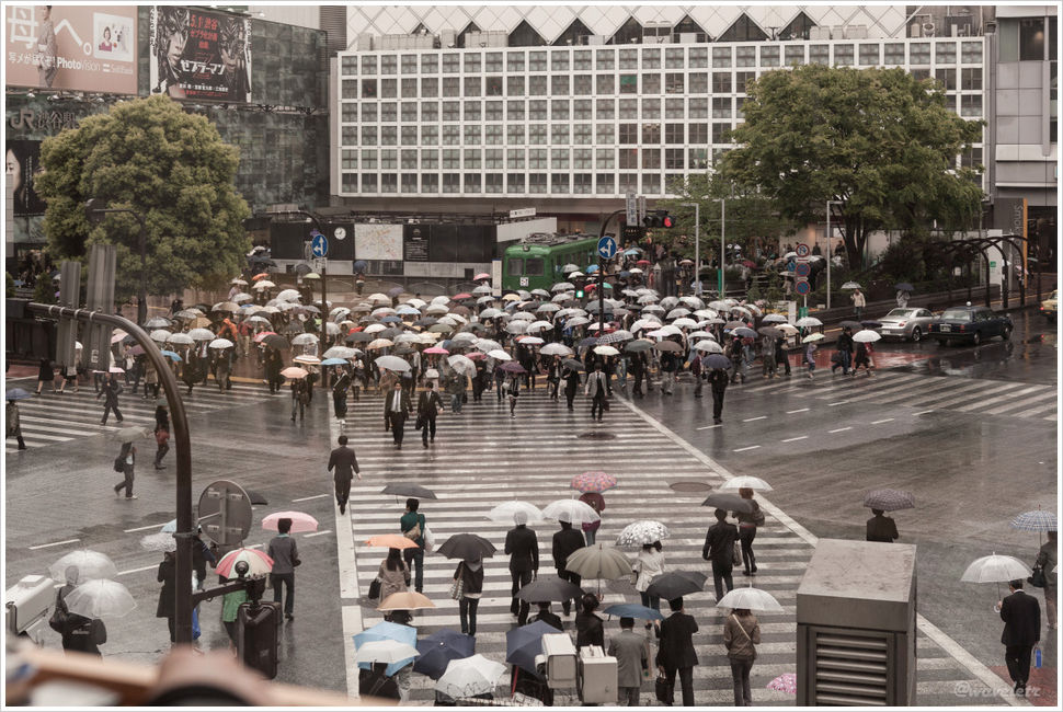 The Busiest Crossroad, from Starbucks in Shibuya (渋谷)