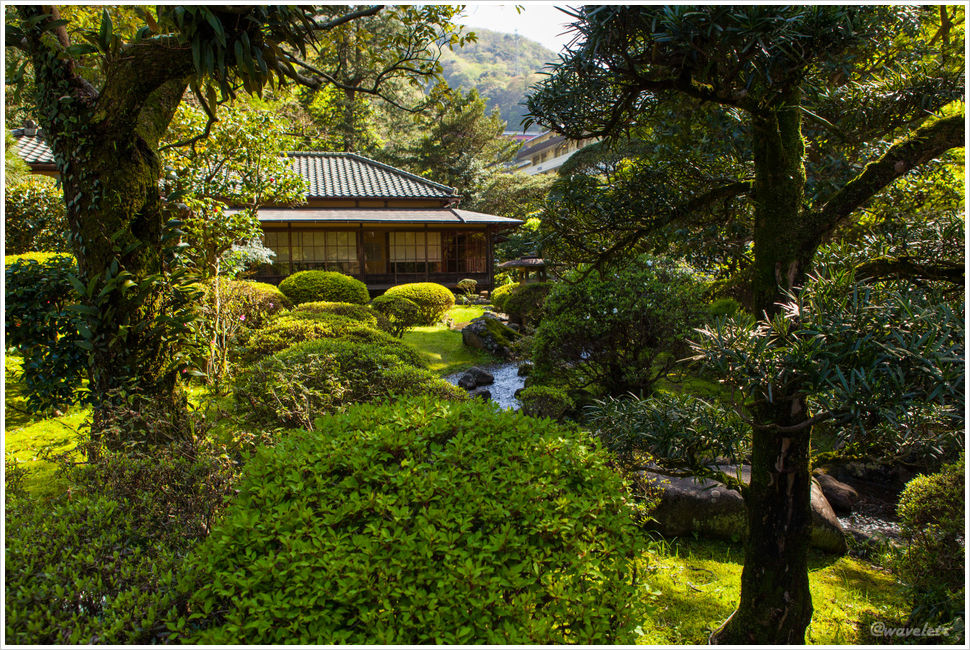 A Japanese Garden in Hakone-Yumoto (箱根湯本)