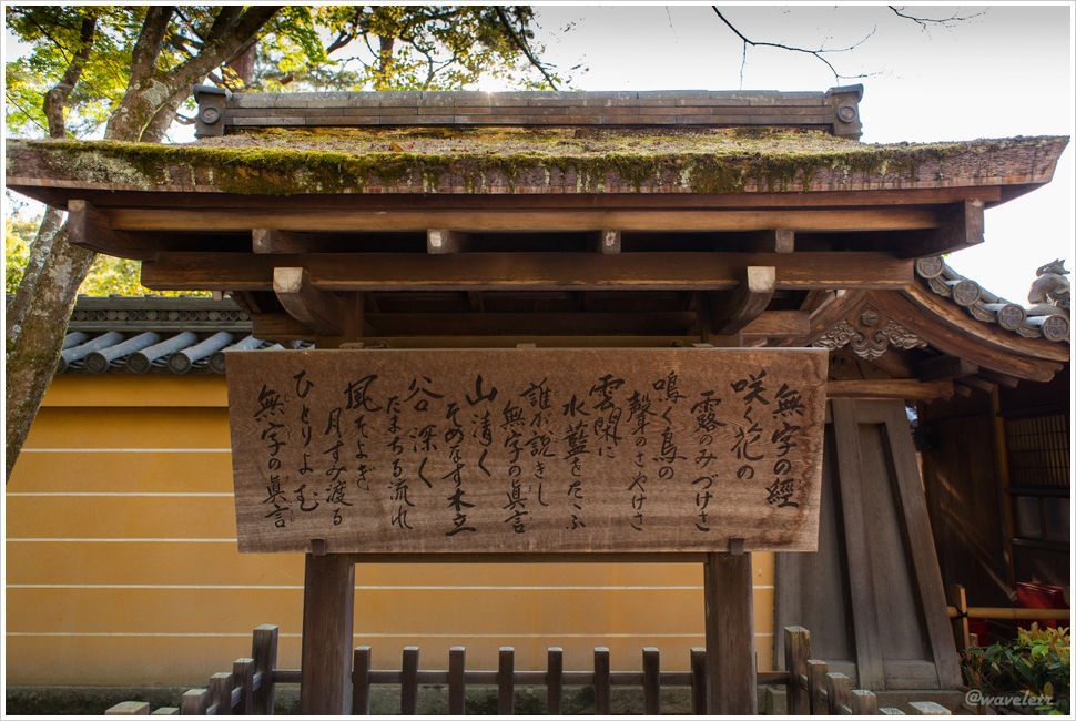 金閣寺