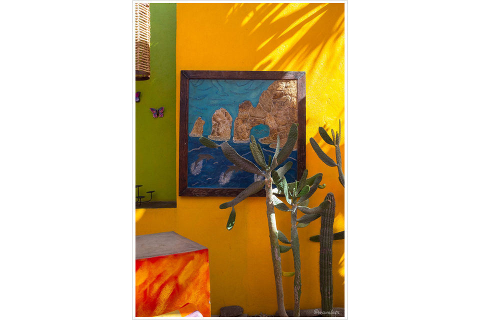 Jazmin's, San José del Cabo