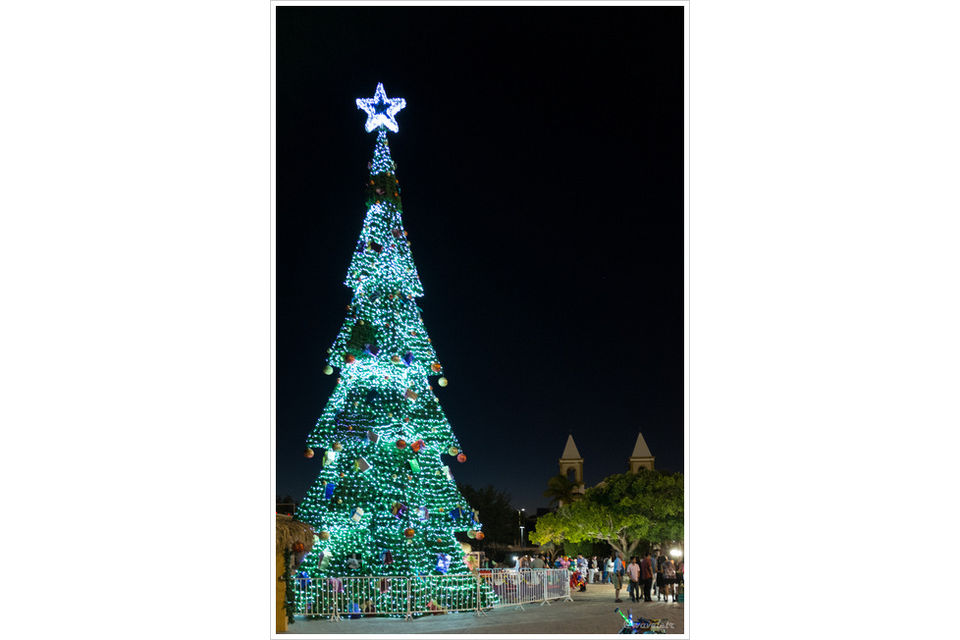 Christmas tree in Mijares Square, San José del Cabo