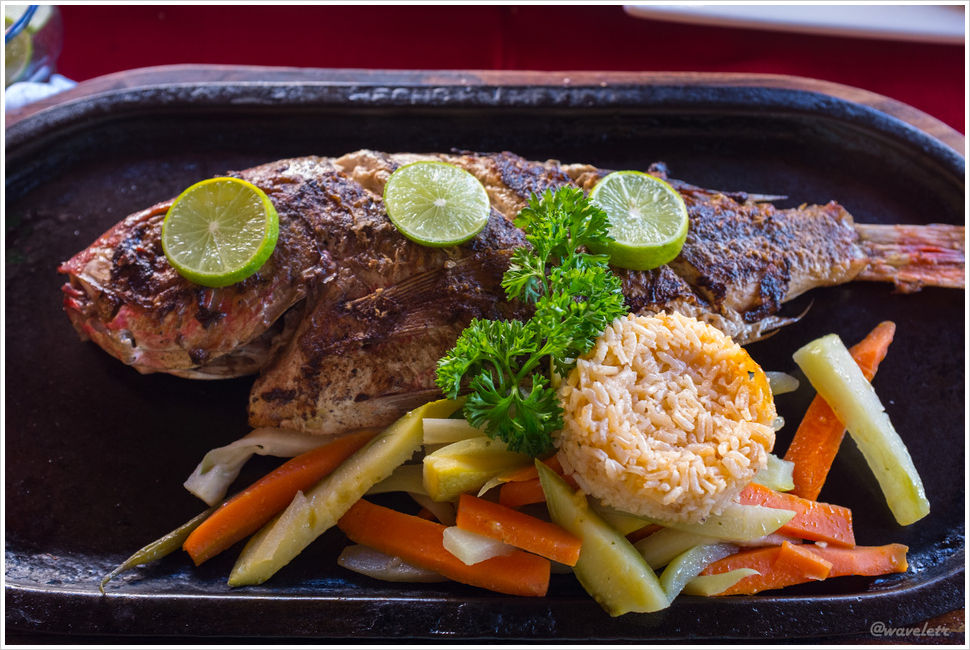Jazmin's, San José del Cabo