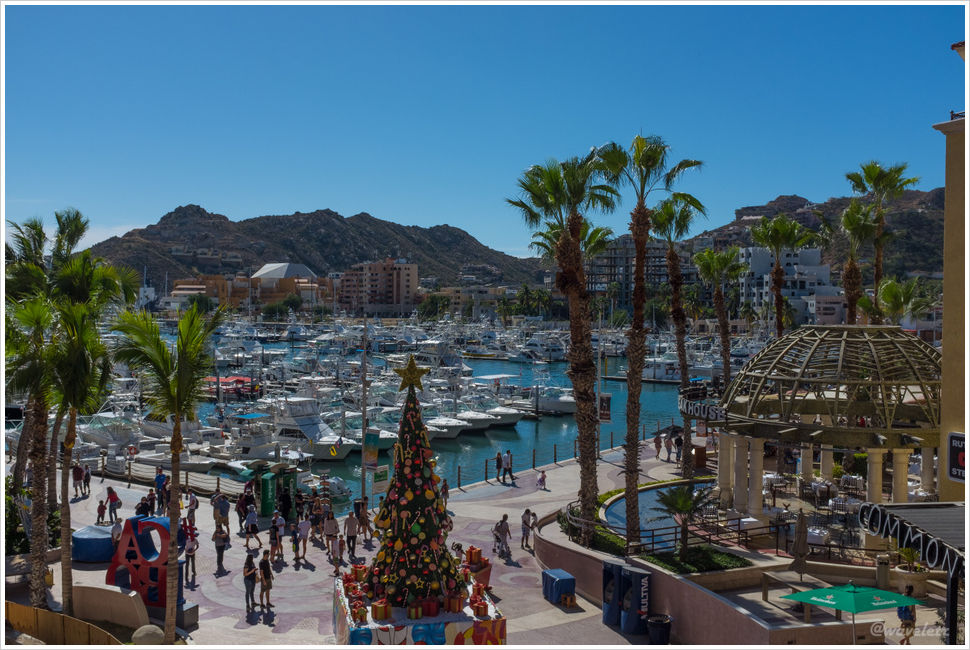 Cabo San Lucas