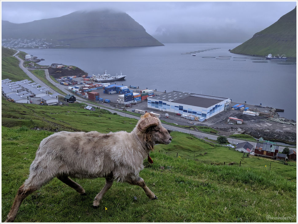 Near Ánir