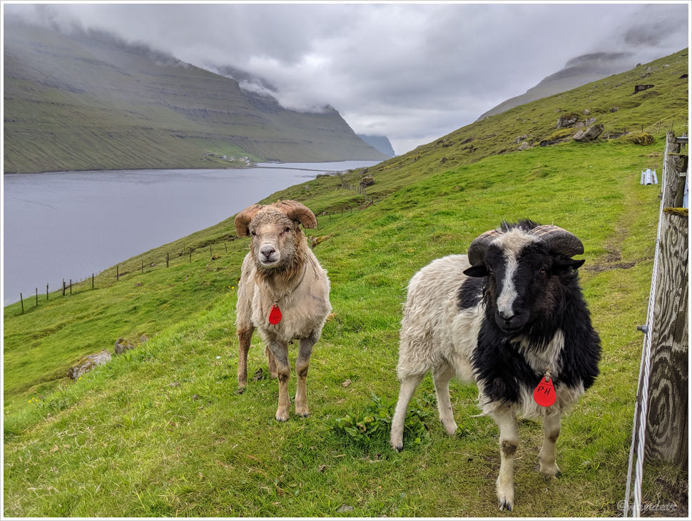 Near Ánir