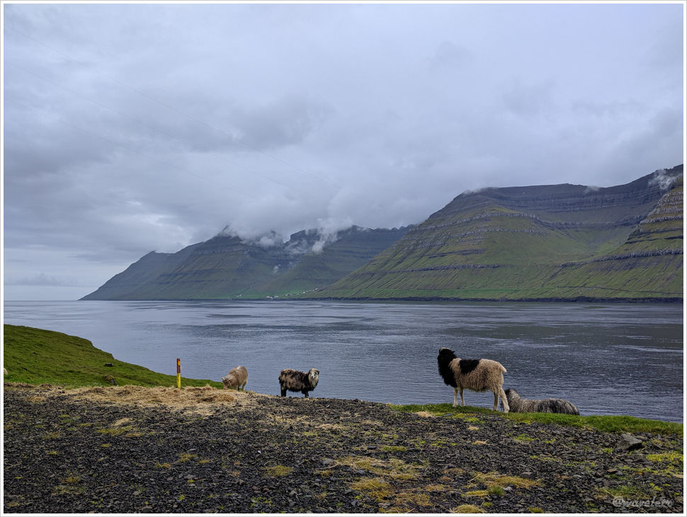 Kalsoy
