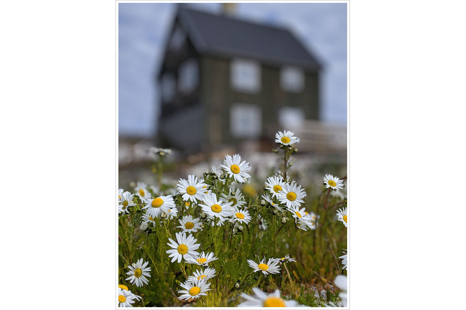 Ilulissat, Greenland