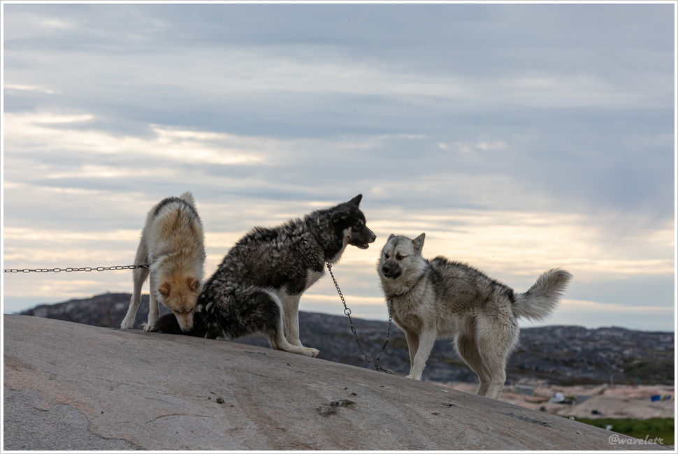 Ilulissat blue trail, Greenland