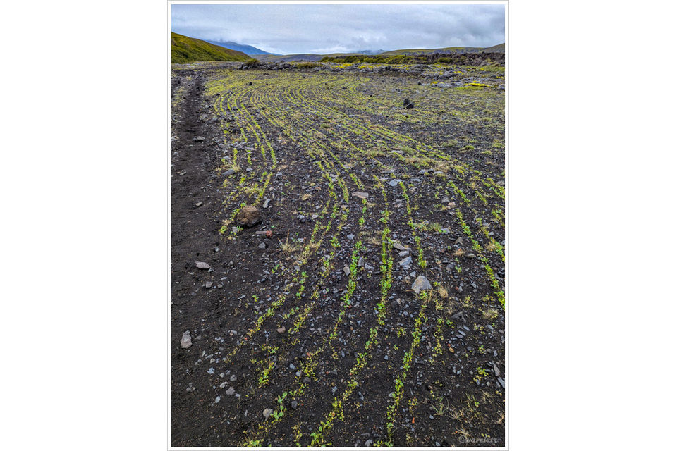 Laugavegur Trail