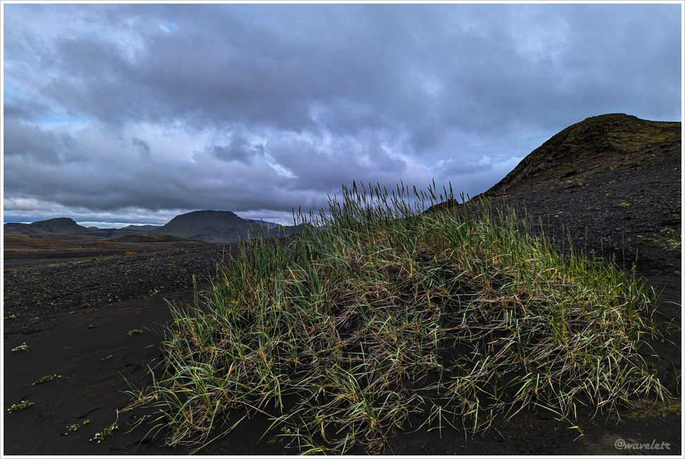 Laugavegur Trail