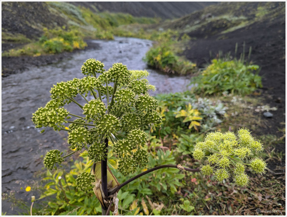 Laugavegur Trail