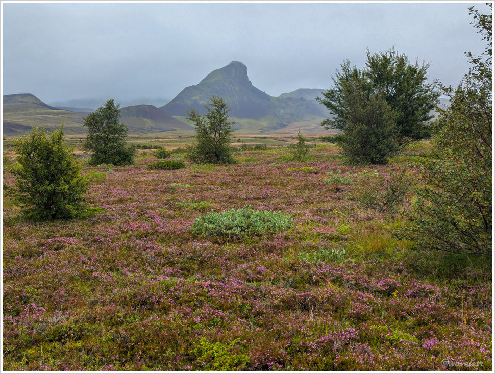 Laugavegur Trail