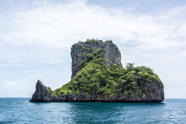 https://ik.imagekit.io/wawydo/55f5efdb-0df7-4dbf-82cd-c6ff7899d763_BgmMbJmRV.jpg