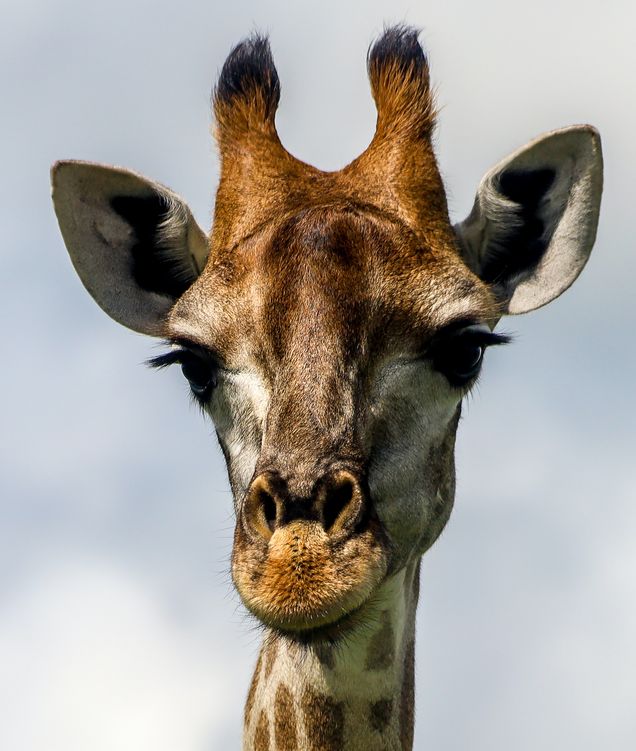 https://ik.imagekit.io/wawydo/b28b6ca5-7d56-454d-8c37-b0b1409a1272_jvp4iBNvB.jpg