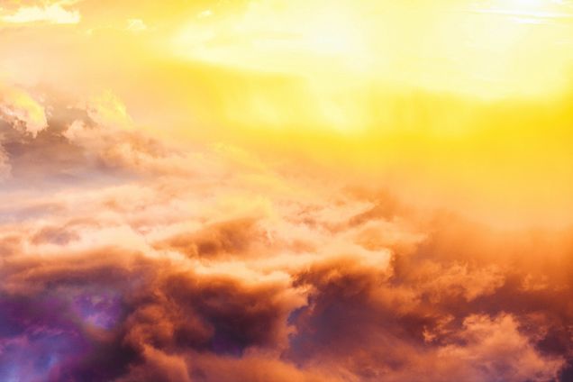 https://ik.imagekit.io/wawydo/eda3934c-7d7d-4f1a-bcde-f465636a33b6_Jg-knKoY3.jpg