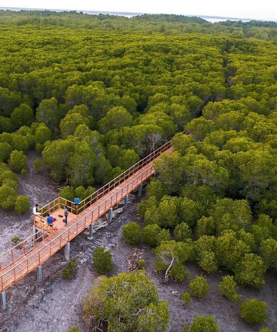 alas purwo nature wonder adventure trip with java private tour