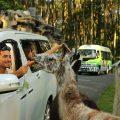 Indonesia’s Wildlife Sanctuaries