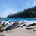 meru betiri national park adventure trip with java private tour