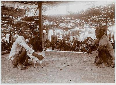 hanengevecht-op-bali-1915