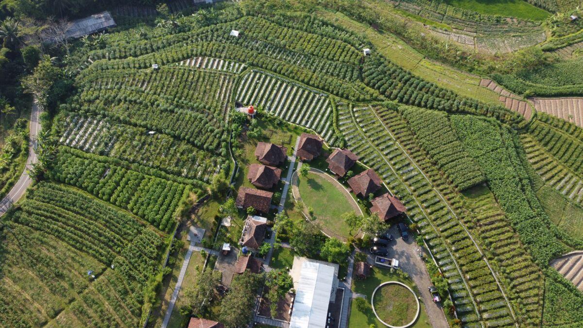 Balkondes Ngadiharjo Magelang From Above