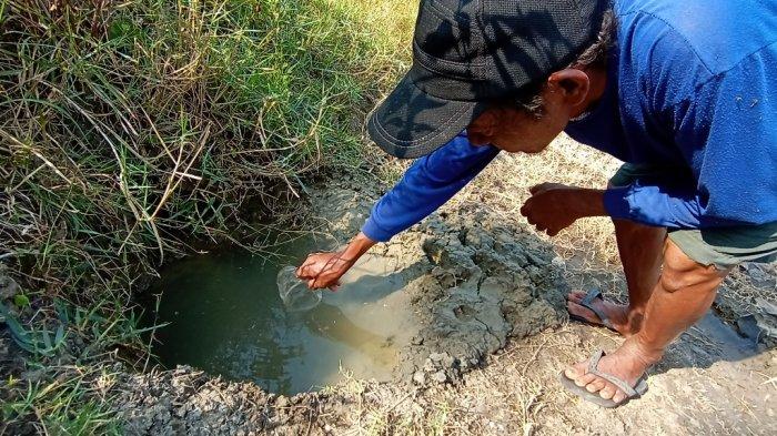 Pablengan brackish water