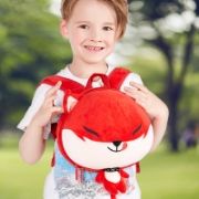 Picture of Fox BackPack