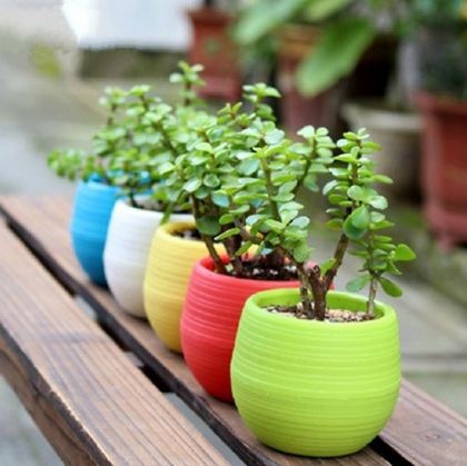 Picture for category Planter Pots