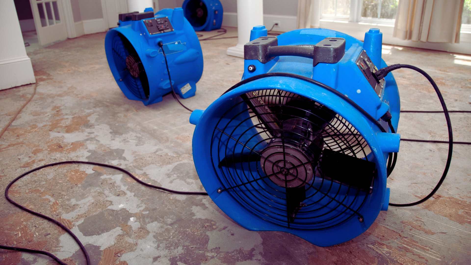 Affordable Water Damage Restoration in Dunbar, WI