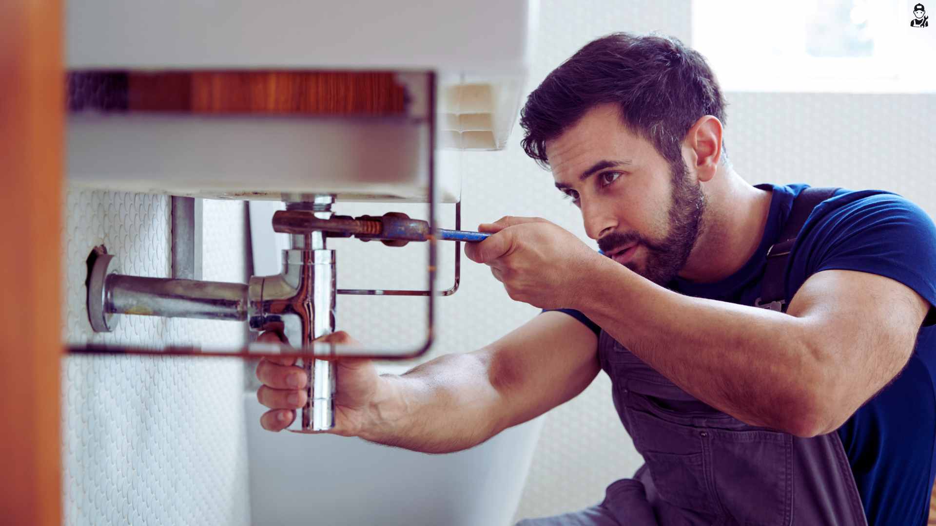Fix Mold Under Sink in Mineral Point, WI