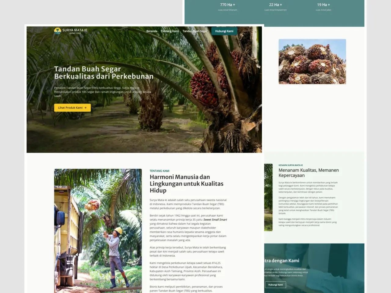 Surya mata ie layout design