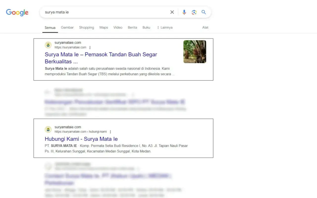 Suryamataie seo serp result