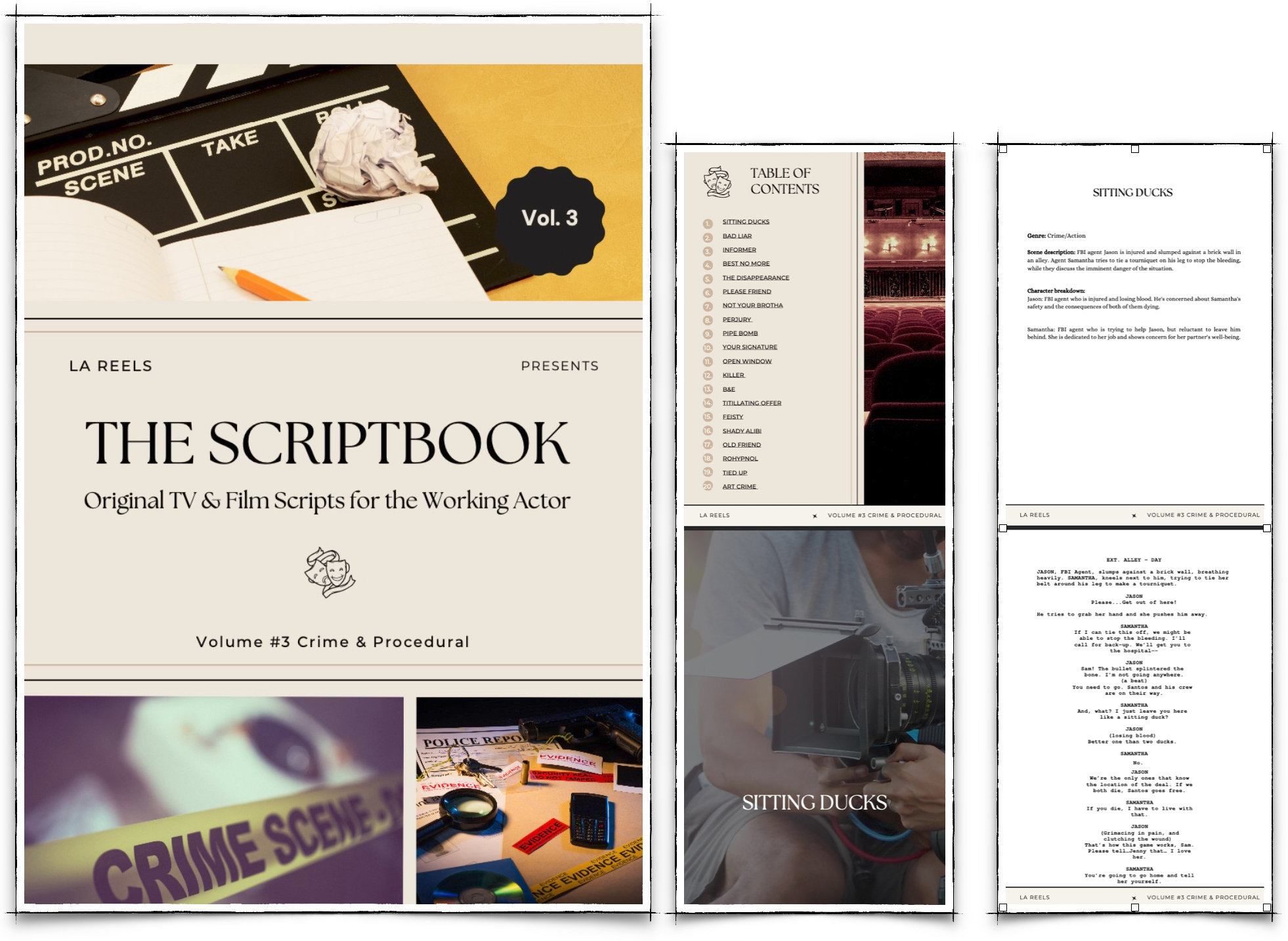 Scriptbook V3 Crime & Procedural