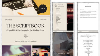 Scriptbook V3 Crime & Procedural