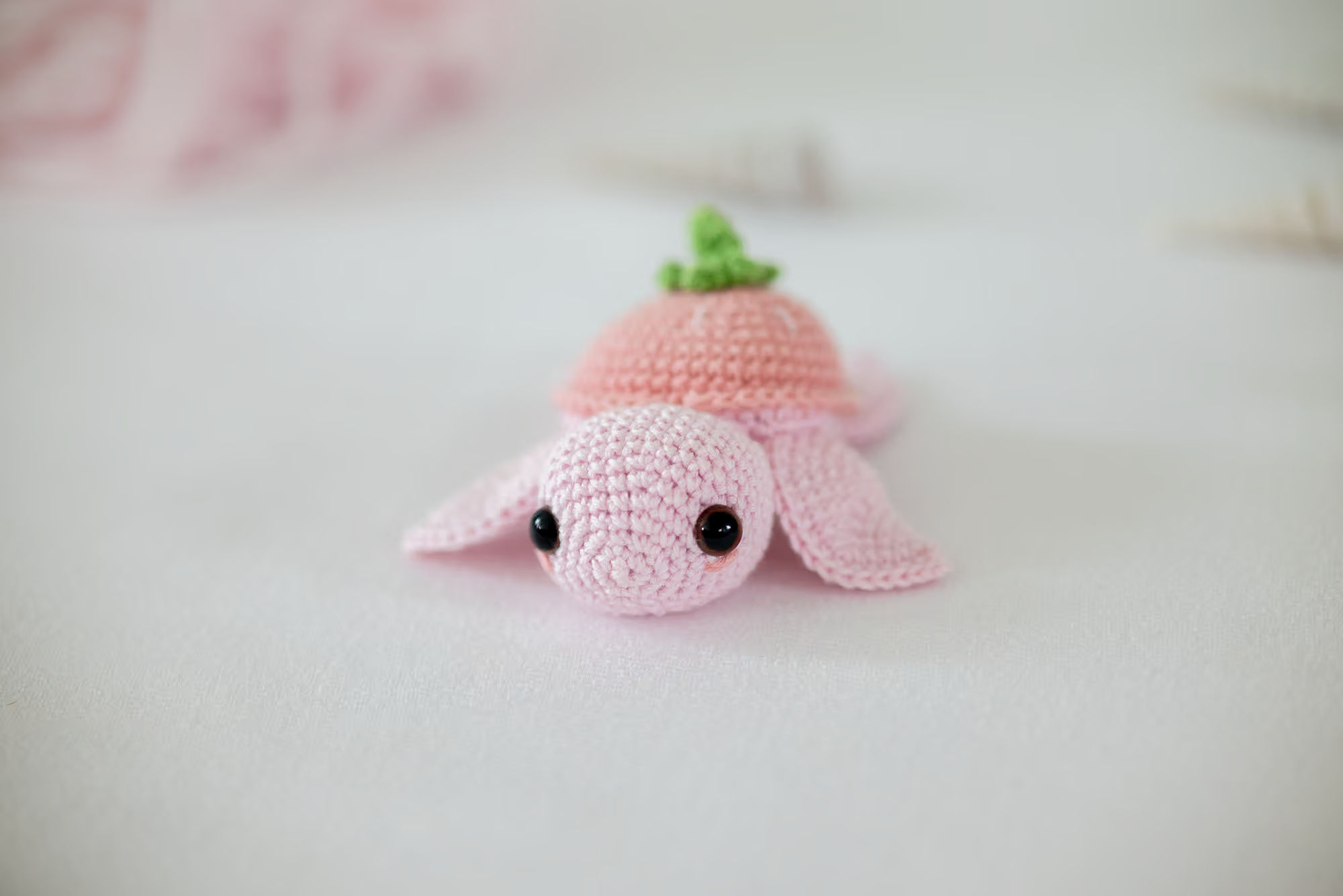 Sweet Strawberry Turtle