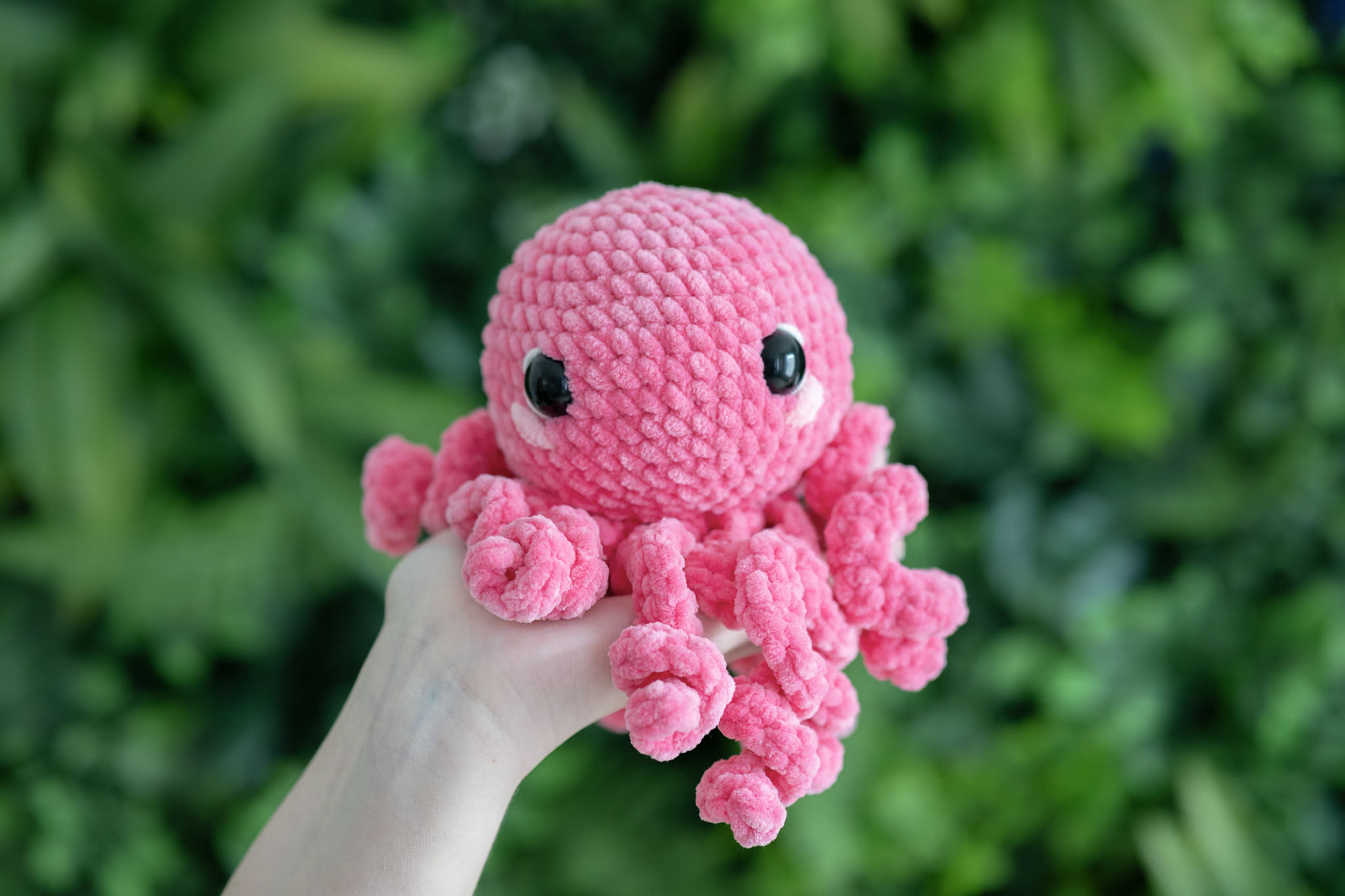 Jellyfish