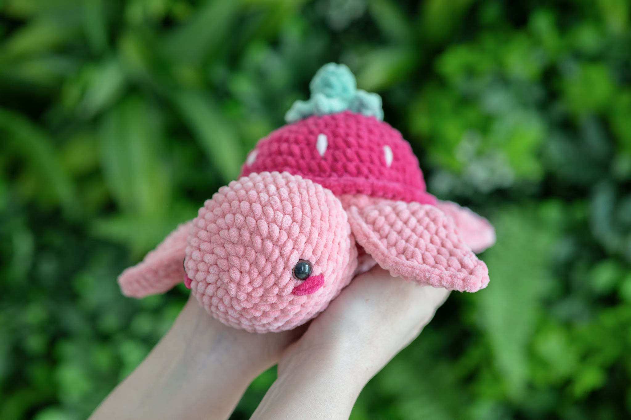 Strawberry Turtle