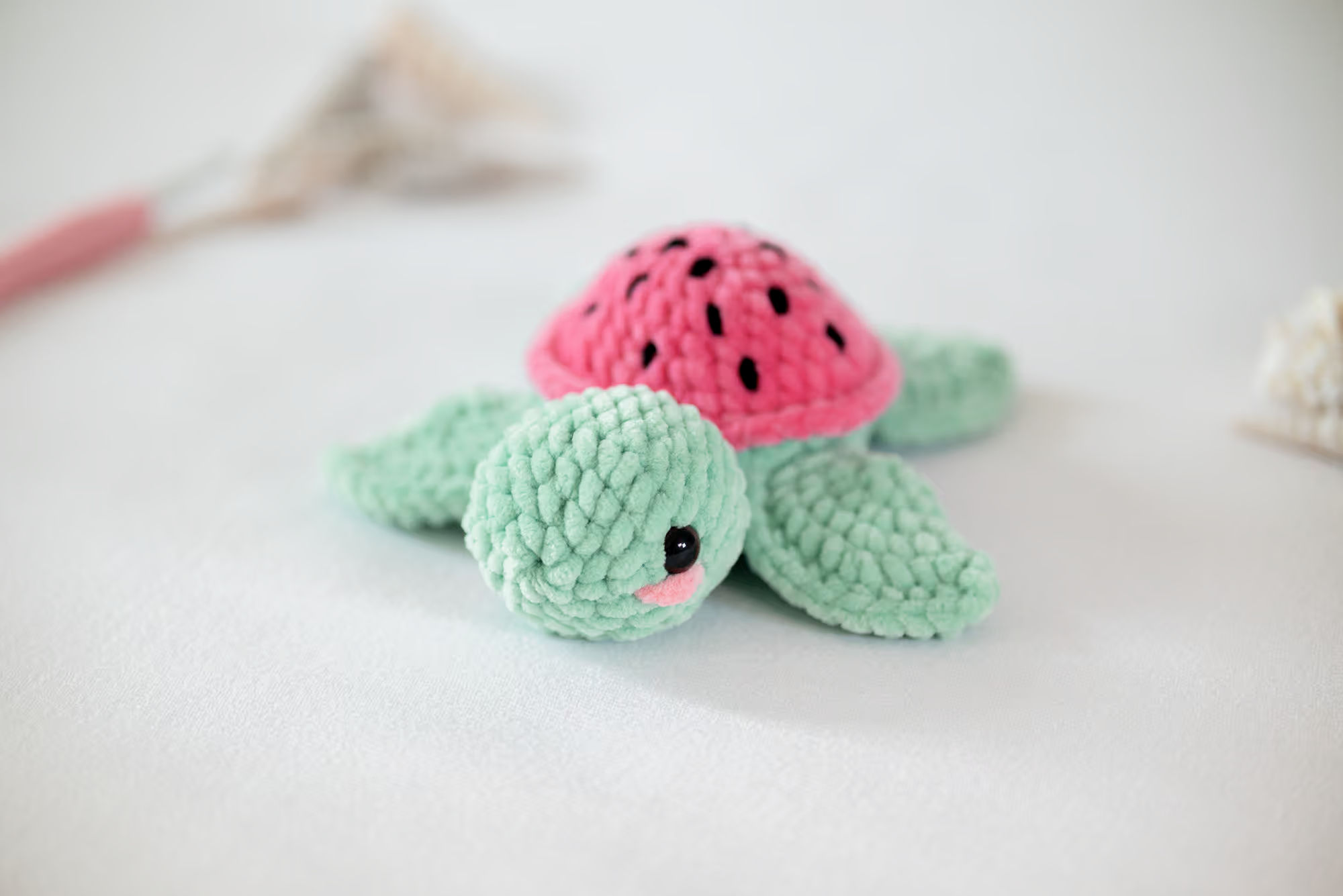 Witty Watermelon Turtle