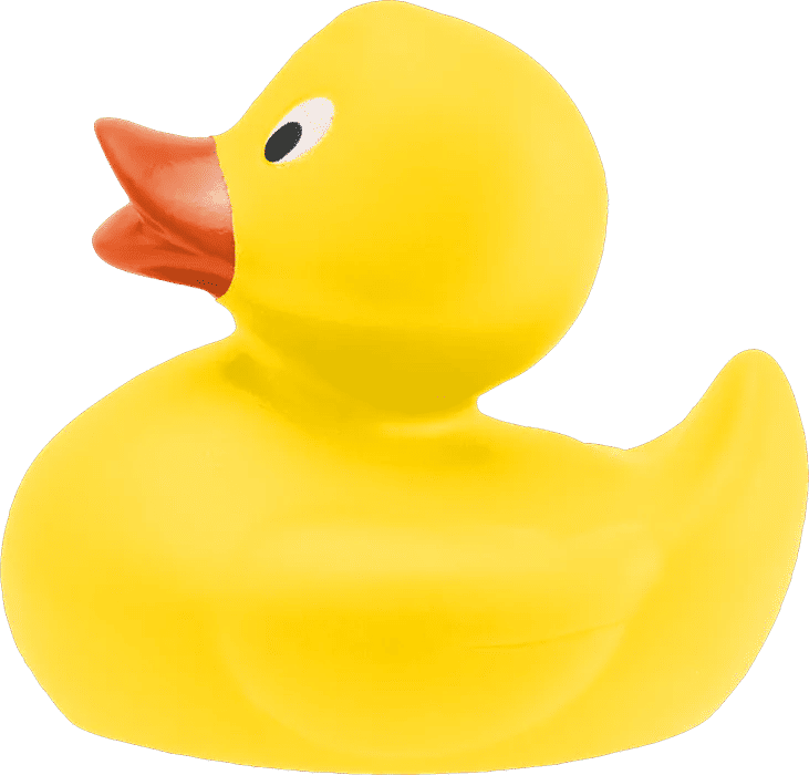 DUCKY