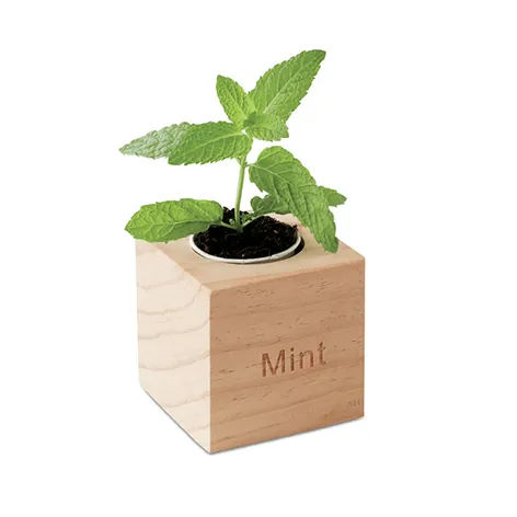 HERB POT MENTA
